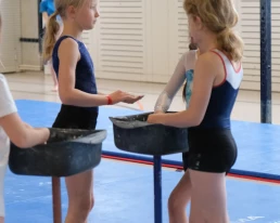 Gym aux agrès