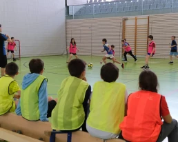 Multisports